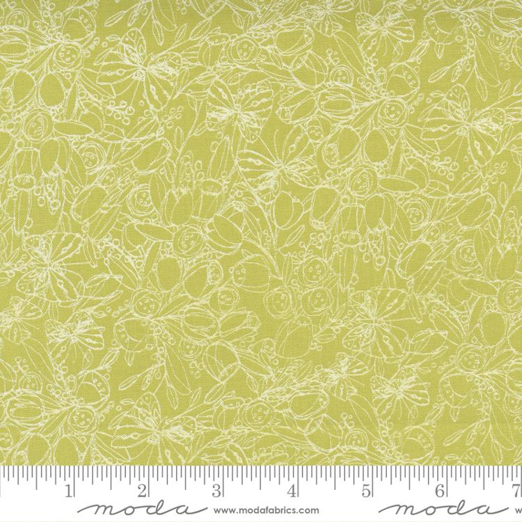 Tulip Tango Chartruese 48712 15