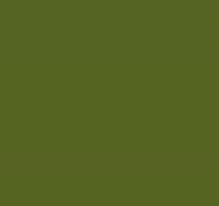 Signature 50 SN931 Dark Olive