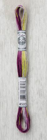 Coloris Embroidery Thread Wisteria 517-4503