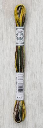 Coloris Embroidery Thread Wide Open Spaces 517-4521