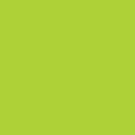 Confetti Cottons Color Riley Lime