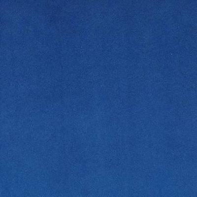 Electric Blue Cuddle 3 Shannon Fabric