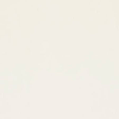 Ivory Cuddle 3 Solid Shannon Fabrics