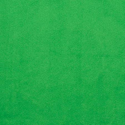 Kelly Green Cuddle 3 Shannon Fabrics