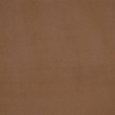 Mocha Cuddle 3 Shannon Fabrics