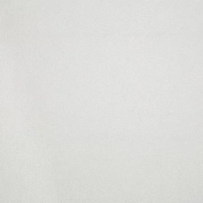 White Cuddle Solid 90in Wide Shannon Fabrics