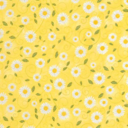 Yellow Daisy