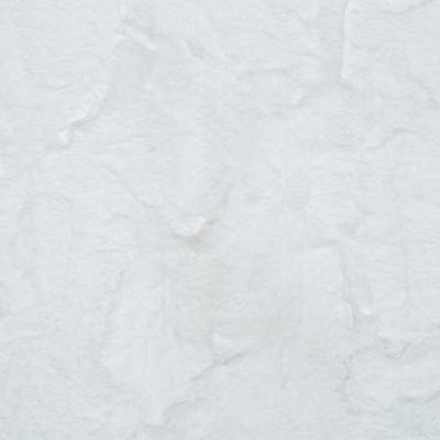 Snow Luxe Cuddle Hide Shannon Fabrics