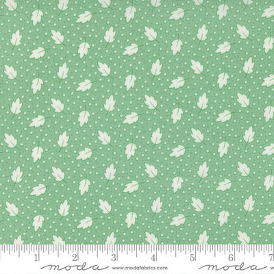 30s Playtime Aloe 33635 15 Moda #1