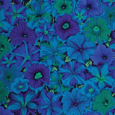 Kaffe Fassett Petunias - Blue - PWPJ050.BLUEX