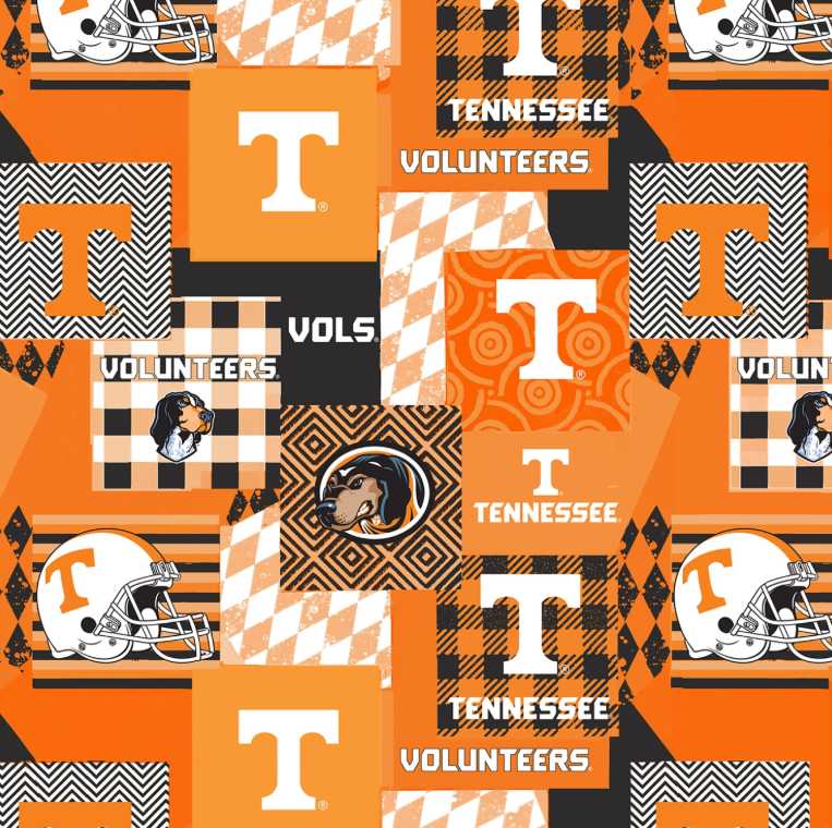 NCAA- Tennessee State College Minky Cheater Quilt 60"