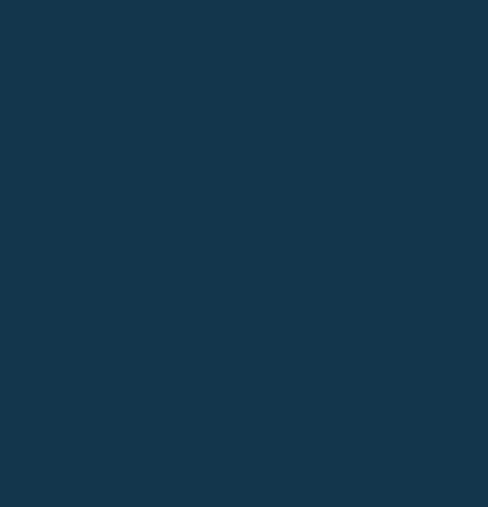 Confetti Cotton Solid Riley Navy