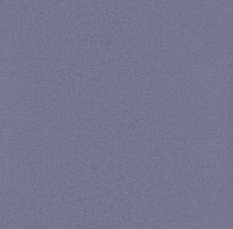 Snuggle Flannel Denim Blue