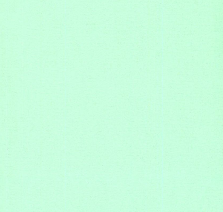 Snuggle Flannel Mint