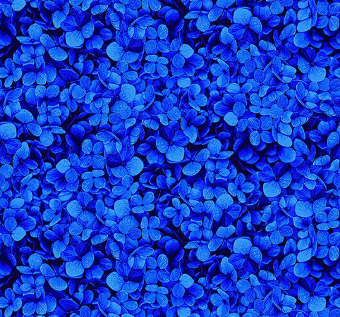 Packed Hydrangea Petals Navy FLORA-CD3387  NAVY