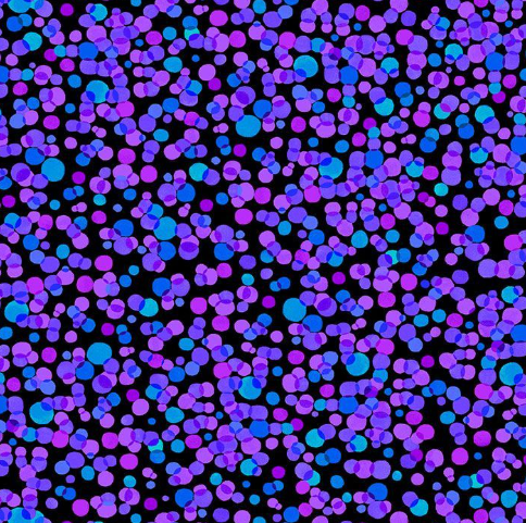 Hydrangea Dots Black DOT-CD3389 BLACK