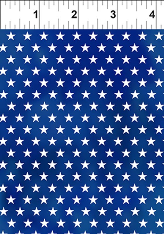 Ky/Tn Shop Hop 12KTH1 Blue Stars/ In The Beginning