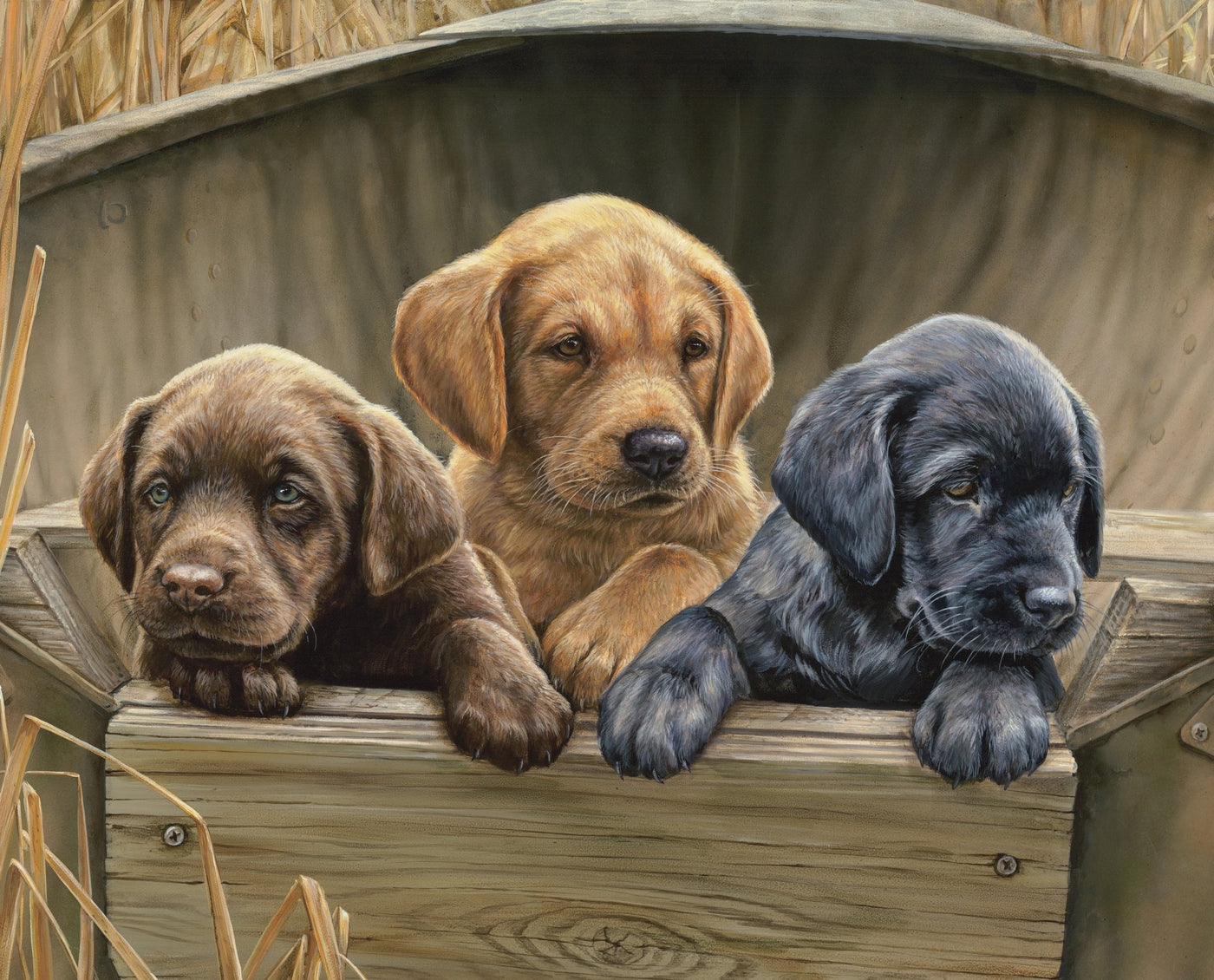 DT-Foust Exclusives WW-3111-3C-1 Multi - Lab Pups in the Wheat Field (35.5" x 44" Panel)