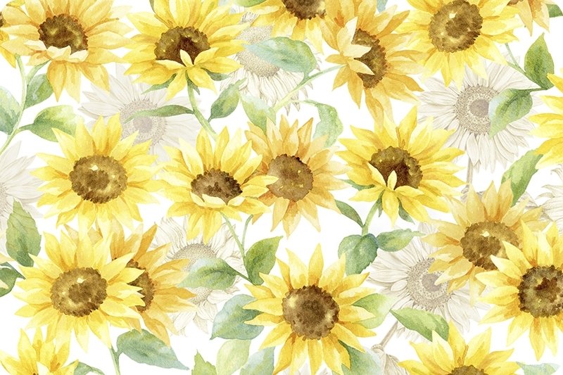 Sunflower Sunshine Cloud Cuddle Shannon Fabrics