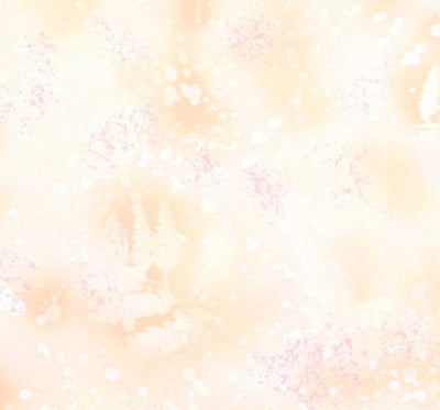 Glazed Peach Fossil Fern
