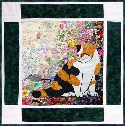 Molly- Exotic Shorthair Cat Rachel's Cat Garden Block 12 WHIM-152
