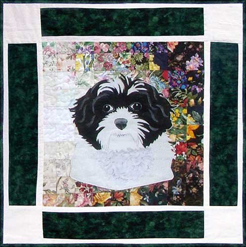Abby- Shih Tzu Rachel's Dog Kennel Block 9 WHIM-177