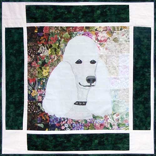 Sophie- Standard Poodle Rachel's Dog Kennel Block 4 WHIM-172